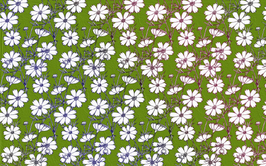 768902 (a): :1920x1200